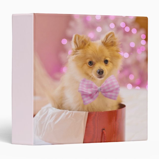 Cute Dog with Pink Bow Christmas Photo 3 Ring Binder (Front/Spine)