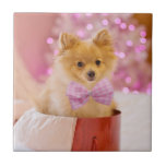 Cute Dog with Pink Bow Christmas Photograph Ceramic Tile<br><div class="desc">A ceramic tile with an adorable Christmas dog wearing a cute pink plaid bow tie. This tiny little pet is sitting inside a whimsical hat box. A white tree decorated with pink lights in the background. The lights are blurred giving it a magical bokeh effect. Darling Christmas themed photograph. Perfect...</div>