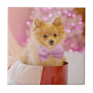 Cute Dog with Pink Bow Christmas Photograph Ceramic Tile