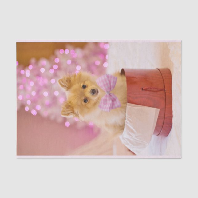 Cute Dog with Pink Bow Christmas Photograph Tissue Paper (Front)