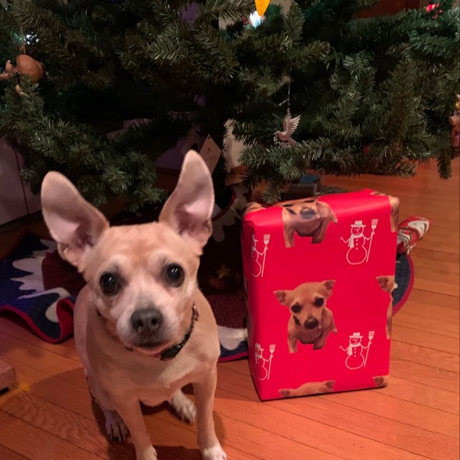 Cute Dog Xmas Santa Snowman Candy Canes Wrapping Paper Sheets (I’m so much better looking in person!)