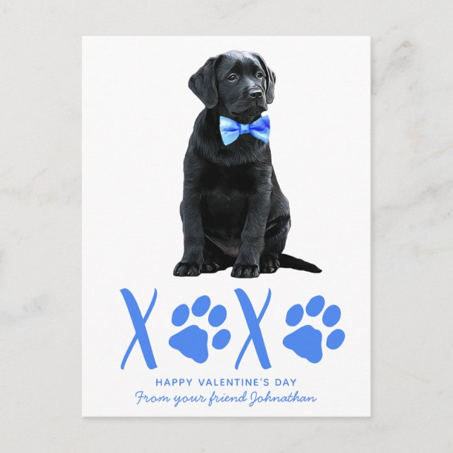 Cute Dog XOXO Kids Puppy Valentines Day Holiday Postcard (Front)