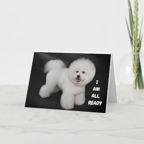 CUTE DOGGIE WISHES FRIENDS BIRTHDAY CARD