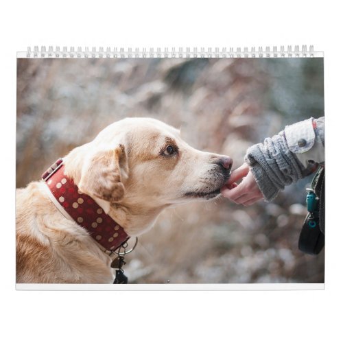 Cute Dogs and Beautiful Puppies Pets Photography Calendar