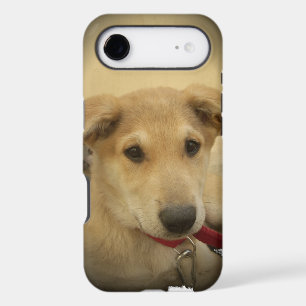 Cute Dogs and Puppies Mans second Best Friend.png iPhone 17 Air Case