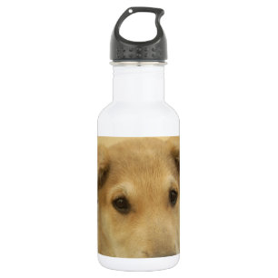 Cute Dogs and Puppies Mans second Best Friend.png Stainless Steel Water Bottle
