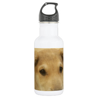 Cute Dogs and Puppies Mans second Best Friend.png Stainless Steel Water Bottle