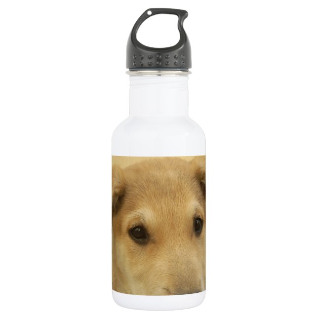 Cute Dogs and Puppies Mans second Best Friend.png Stainless Steel Water Bottle (Front)