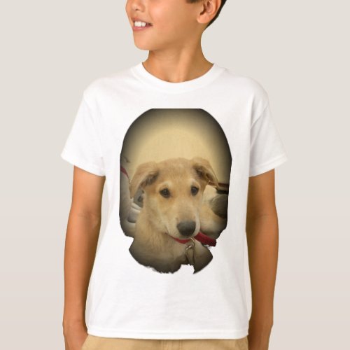 Cute Dogs and Puppies Mans second Best Friendpng T_Shirt