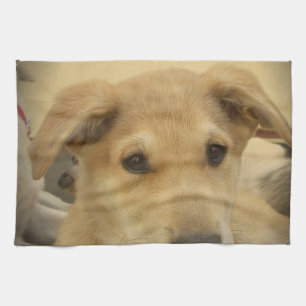 Cute Dogs and Puppies Mans second Best Friend.png Towel