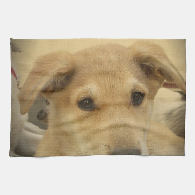 Cute Dogs and Puppies Mans second Best Friend.png Towel (Horizontal)