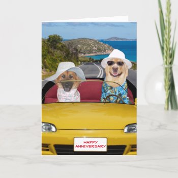 Cute Dogs Anniversary Card by myrtieshuman at Zazzle