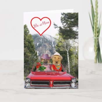 Cute Dogs Anniversary Card by myrtieshuman at Zazzle
