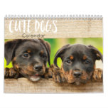 Cute Dogs Calendar 2023 at Zazzle