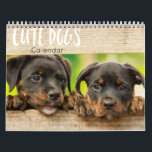cute dogs calendar 2023<br><div class="desc">cute dogs calendar 2023
very cute dog desk calendar wich make very nice gift for mam or dad dogs and any dogs or animal lovers</div>