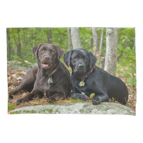 Cute Dogs Chocolate Lab Black Labrador Retriever Pillowcase