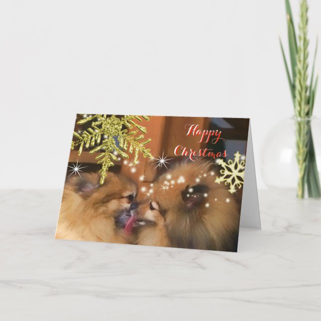 Cute Dogs Christmas Kiss Snowflake Picture Holiday Card (Front)