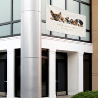 Cute Dogs Grooming Service Business Card