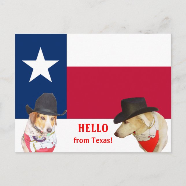 Cute Dogs Hello from Texas! Postcard (Front)