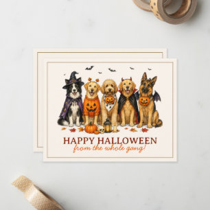 Cute Dogs in Costumes Halloween Note Card