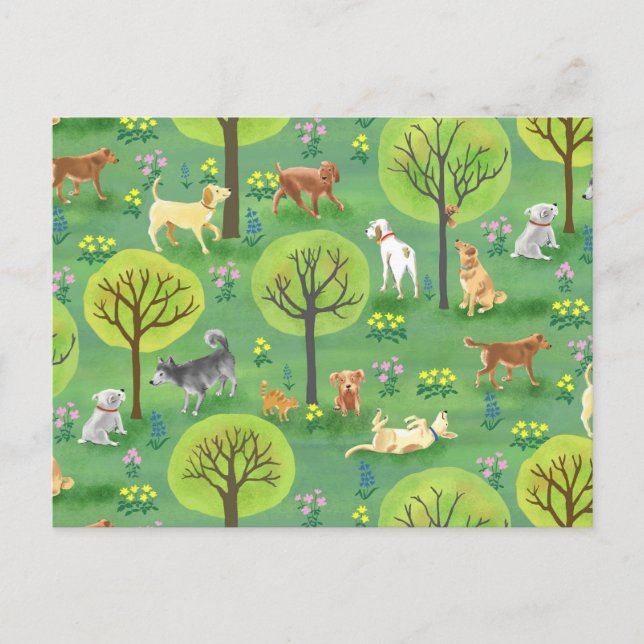 Cute Dogs in the Dog Park Postcard (Front)