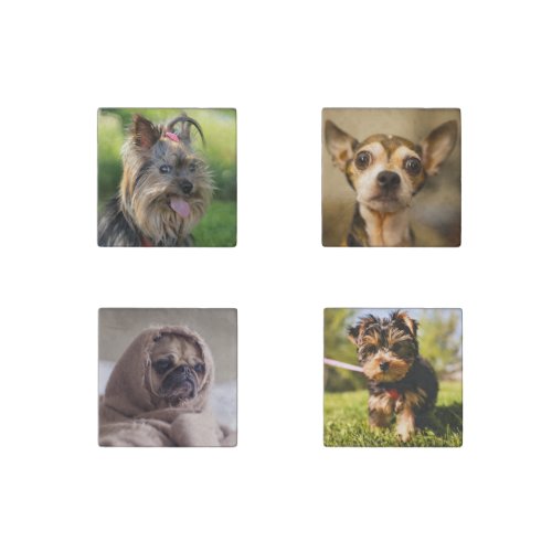 Cute Dogs OR YOUR PHOTOS magnet set 2