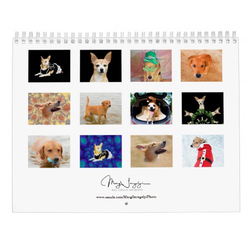 Cute Dogs Photo Art Design 2024Monthly Calendar