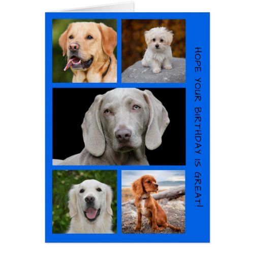 Cute Dogs Photo Birthday Collage