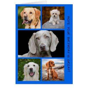 Cute Dogs Photo Birthday Collage Cards
