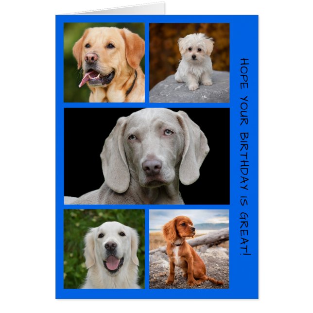 Cute Dogs Photo Birthday Collage Cards (Front)
