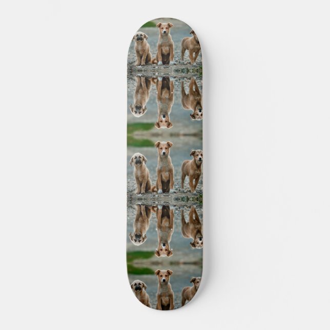 Cute Dogs Skateboard (Front)