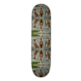 Cute Dogs Skateboard