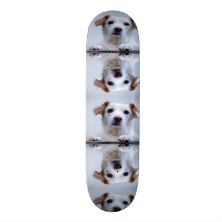 Cute Dogs Skateboard