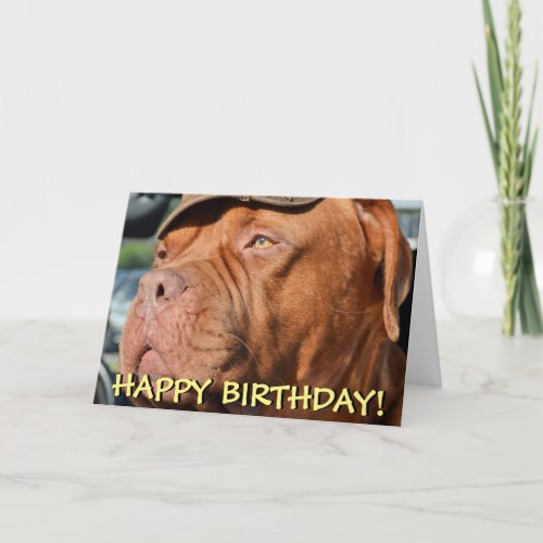 Cute dogue de bordeaux photo birthday card