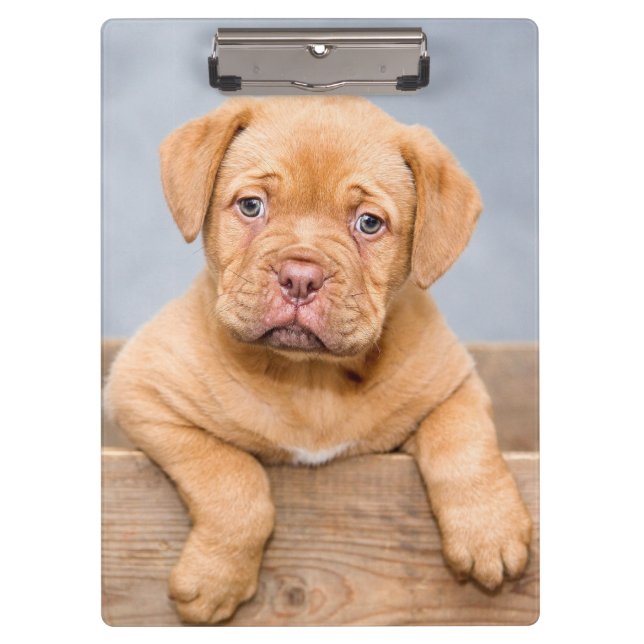 Cute Dogue De Bordeaux Puppy Dog Clipboard (Front)