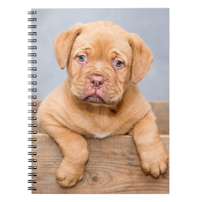 Cute Dogue De Bordeaux Puppy Dog Notebook (Front)