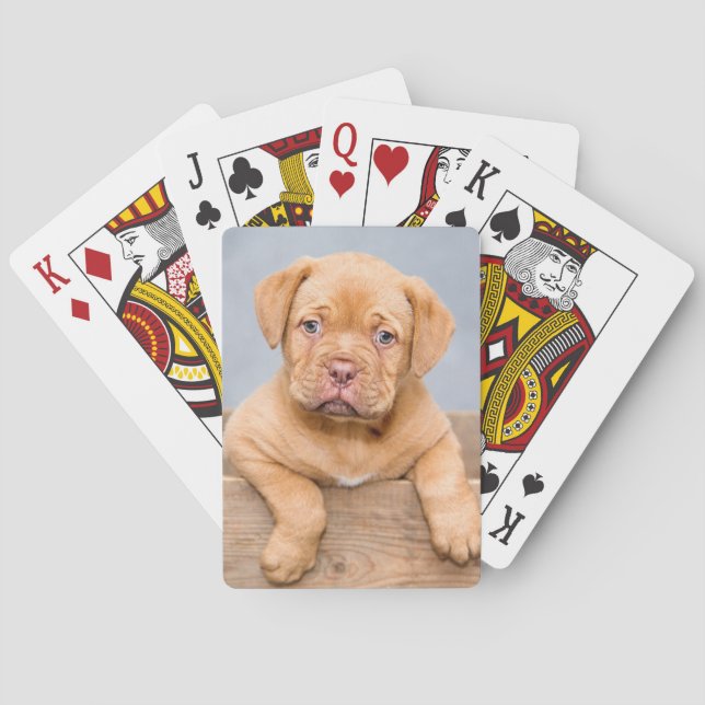 Cute Dogue De Bordeaux Puppy Dog Poker Cards (Back)