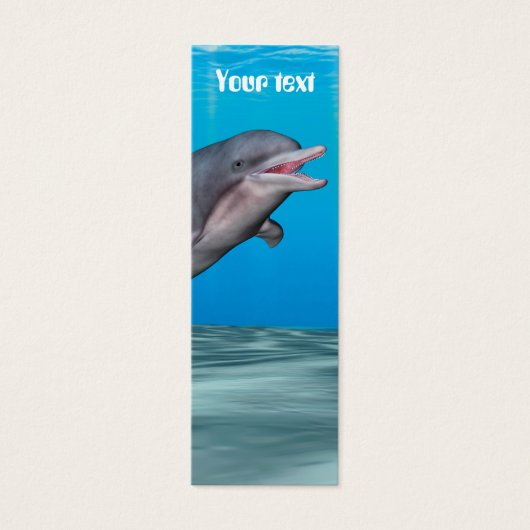 Cute Dolphin (Front)