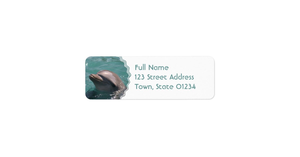 Cute Dolphin Address Labels Zazzle