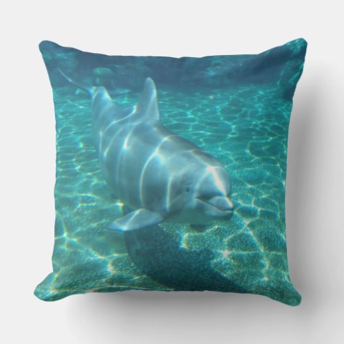 Cute Dolphin Aquamarine Water Outdoor Pillow