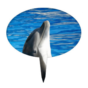 Cute Dolphin Beach Peace Love Party Destiny Cake Topper
