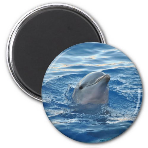 Cute Dolphin Face in Ocean Magnet