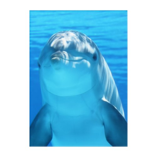 Cute Dolphin Marine Animal in Blue Sea Acrylic Print