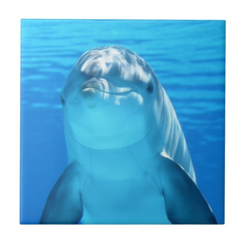 Cute Dolphin Marine Animal in Blue Sea Ceramic Tile