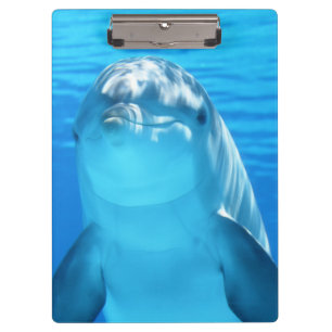 Cute Dolphin Marine Animal in Blue Sea Clipboard