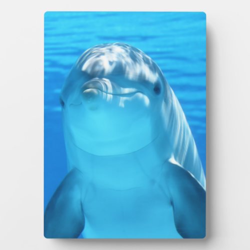 Cute Dolphin Marine Animal in Blue Sea Plaque