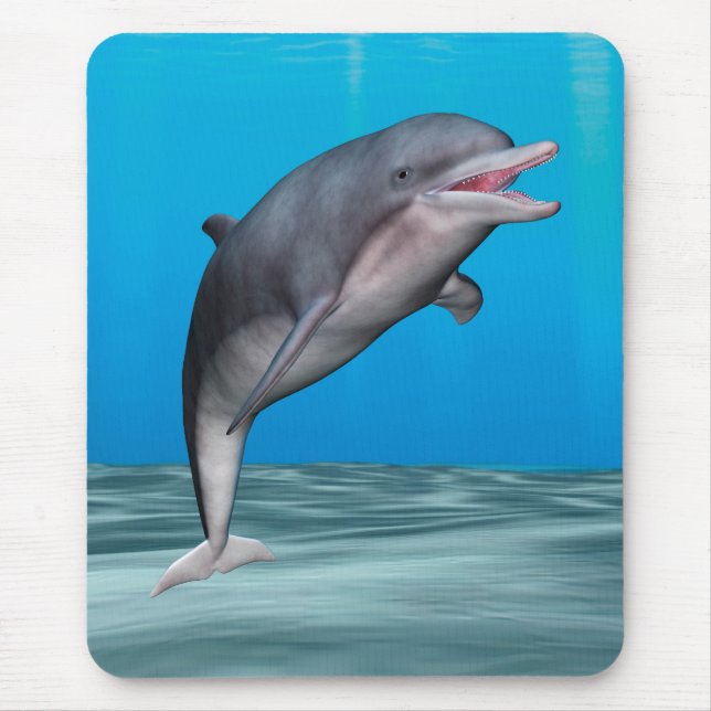 Cute Dolphin Mouse Pad (Front)