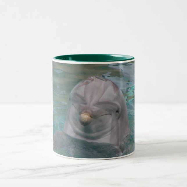 Cute Dolphin Mug (Center)