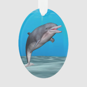 Cute Dolphin Ornament