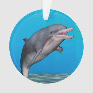 Cute Dolphin Ornament